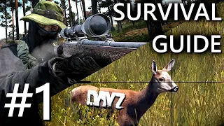 Der ULTIMATIVE DayZ Survival Guide - Dein idealer Start als Anfänger #1