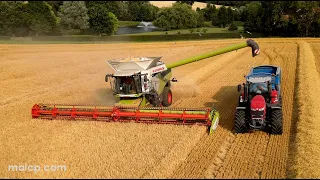 4Kᵁᴴᴰ Harvest 2023: Claas Lexion 8900 TT combine harvesting barley in Suffolk