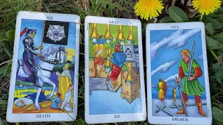 You’re empowered and clear! 30 April 2021 Your Daily Tarot Reading with Gregory Scott