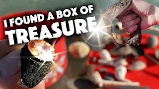 I FOUND A BOX OF TREASURE! Rare coins, unique relics, Victorian thru Bronze age!