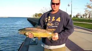 10-18-08 Brown trout net and release Rob L., part 2.AVI