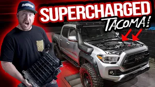 We Supercharged the Toyota Tacoma!! V8 Performance from the V6?!