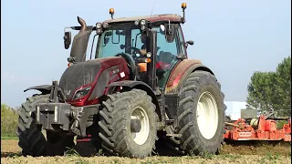 Valtra T214 Direct + Maschio Aquila Rapido 6000 | MARCATO