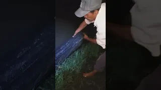 Bedodod, perangkap ikan di saluran irigasi sawah