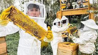 Como es Trabajar con 10 Millones de Abejas 🐝 (Documental)