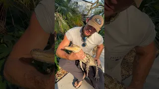 Shorts cut my video off, but still cool with a feisty hypo gator at Xtreme exotics