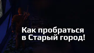 Хроники Миртаны: Архолос. Как тайно попасть в Старый город и украсть кольцо.