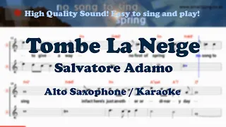 Tombe La Neige - Salvatore Adamo (Alto Saxophone Sheet Music Gm Key / Karaoke / Easy Solo Cover)