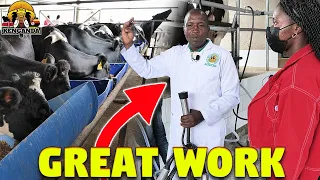 This Ugandan Dairy Farm is Taking Automatic Milking To The Next Level (Gomba Next Generation Farm)