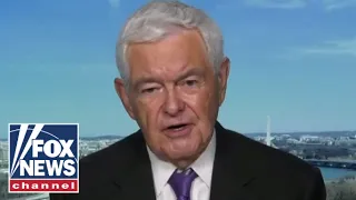 Newt Gingrich: This is the insanity of the Biden administration