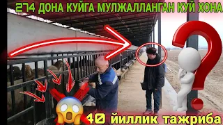 КУЙ БОКИШ УСЛУБИ 40 ЙИЛЛИК ТАЖРИБА КУЙХОНА КУРИШДА АДАШМЕН