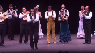 Bodas de sangre/Suite Flamenca  - Cía Antonio Gades - Teatro Real