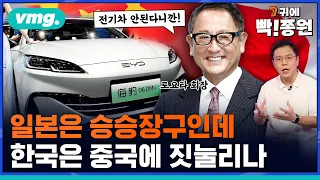 관세장벽 막힌 중국 전기차, 한국으로 몰려온다..'카푸어' 마다않는 한국서 팔릴까? / 귀에빡종원 / 비디오머그