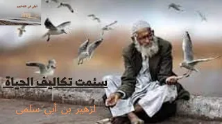 قصيدة سئمت تكاليف الحياة للشاعر زهير بن أبي سلمى#شعر_المعلقات