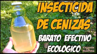 INSECTICIDA Y FUNGICIDA DE LEJÍA DE CENIZAS -económico y ecológico