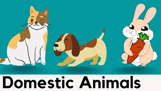 10 Domestic Animals Names With Spellings | Easy Spelling Words