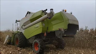 kukorica aratás 2021 /corn harvest /