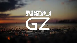 Kygo Tropical House Mix - (NIDU Gz)