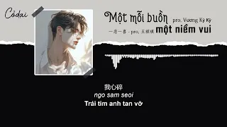 [Vietsub + Pinyin] Một nỗi buồn, một niềm vui - pro, Vương kỳ Kỳ / 一悲一喜 - pro, 王琪琪