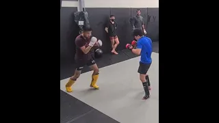 MMA Sparring with Boxing / Wing Chun Techniques! #shorts