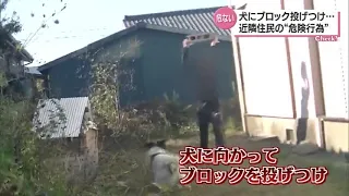 飼い犬にブロック投げつけ  鉄の棒も　突然  自宅庭で近隣住民から受けた危険行為　動画撮影した男性語る恐怖