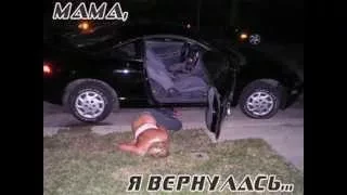 Funny Videos - Funny Photos №1 Фото приколы №1