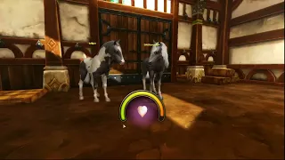 Breeding for my Dream Horse! | Alicia Online Breeding Commentary