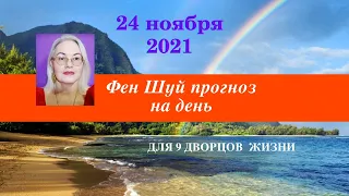 Проживи достойно этот день!  Фен Шуй прогноз на 24 ноября 2021 года