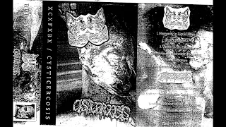 xCxFxBx / Cysticercosis split tape