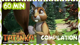 Tatonka en Français 🐺 COMPILATION 1H - Le voleur de pommes de pin 🌲 Dessin animé