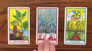 Make a plan for the future 19 March 2023 Your Daily Tarot Reading with Gregory Scott