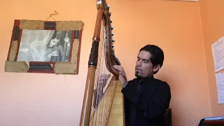 Música Chilena en Arpa Folclórica