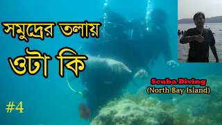 সমুদ্রের তলায় যা দেখলাম শিউরে উঠল গা  । Scuba Diving In North Bay Island  |  Scuba diving