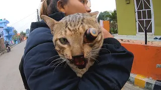 Incredible Cat Rescue Mission: Cat Eye Rescues That Warm the Heart