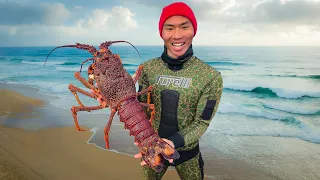 DIVING For GIANT Lobsters South Australia!