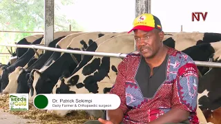 Smart-farming technology in dairy farming | SEEDS OF GOLD