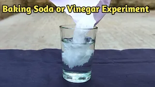 Baking Soda and Vinegar Experiment Trick ||