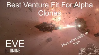 Best Venture Fit for Alpha Clones: Plus What Skills to Train 2022 -- EVE Online