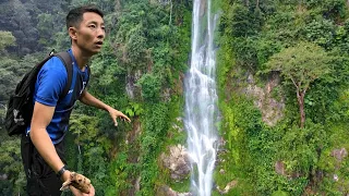 I climbed THE TALLEST mountain in La Ceiba, Honduras | Pico Bonito, Bejuco Falls, Cangrejal River 🇭🇳