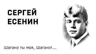 Сергей Есенин Шаганэ ты моя, Шаганэ! Учить стихи легко Аудио Стихи Слушать Онлайн