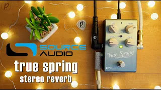 Source Audio True Spring Reverb (Stereo)