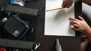 How to Draw a Cartoon Husky and Cartoon Labrador 🐶🐺