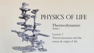 Lecture 11. Introduction to thermodynamics and the origin of life