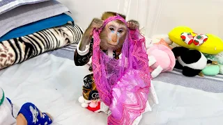 Monkey Kaka looked so sad when her saw favorite dress torn