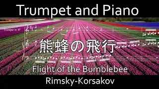 熊蜂の飛行 for Trumpet and Piano ( Flight of the Bumblebee )