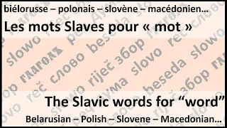 Why so many SLAVIC WORDS for "word"? (Ukrainian, Slovak, Croatian, Bulgarian...)