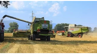 Zniwa 2015  Traktory & Kombajny podsumowanie sezonu 2015 ORAGRO /FULL HD/