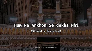 Hum ne Ankhon se dekha nhi hai Magar | Slowed + Reverbed | Heart Touching😪