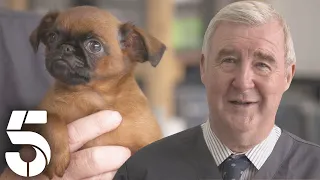 A Heart-Warming Reunion With Two Puppies! | The Yorkshire Vet | Channel 5