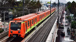 Trenes en Reapertura del Tramo Elevado de la Línea 12 del Metro CDMX